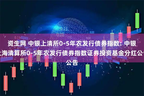 资生网 中银上清所0-5年农发行债券指数: 中银上海清算所0-5年农发行债券指数证券投资基金分红公告